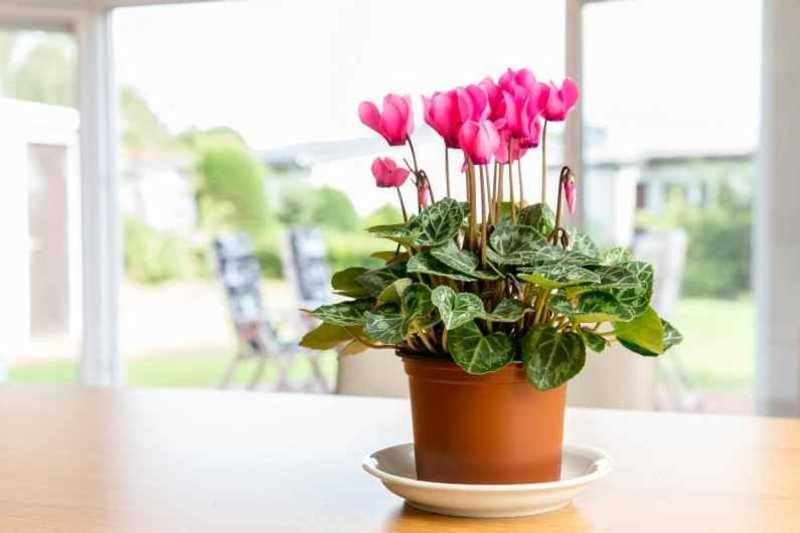 Ferienhaus Boje 9 Neuharlingersiel Kültér fotó